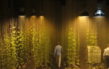 Postcards From The Future // Jan Kattein Architects . jkdev.li-dev.co.uk